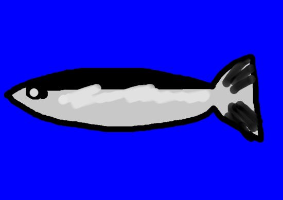 魚